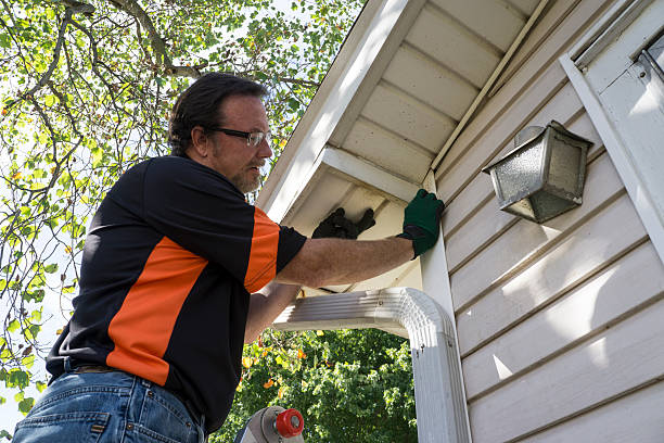 Best Carpet Removal and Disposal  in Julian, CA